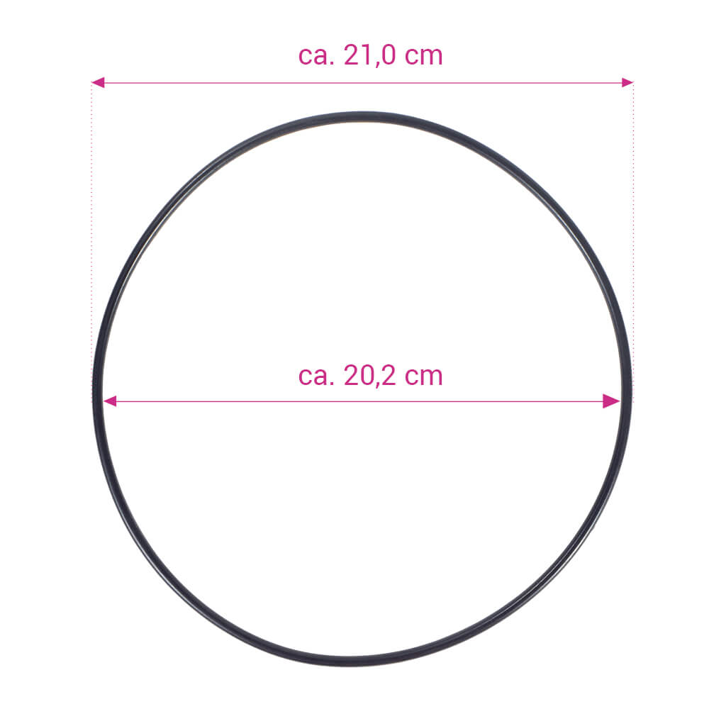 O-Ring für Pumpenplatte für E-Saver 20/24 Filterpumpe