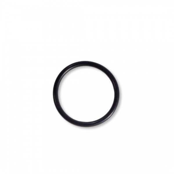 O-Ring für Außenverschraubung zu Filterkessel Pavo II Frontansicht